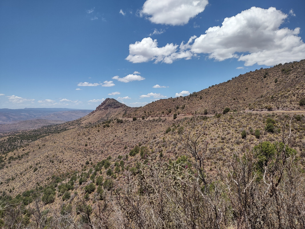 IMG_20250704_123056644_HDR