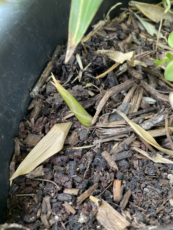 3F54C7E7-6AEE-43AD-AE1D-8F27ED1927E3