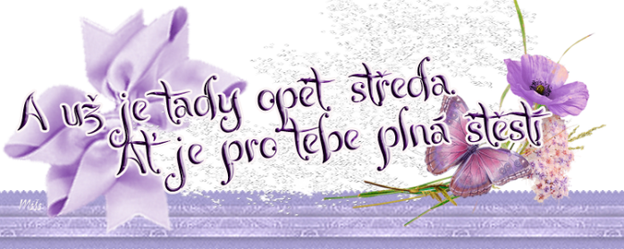 na1a.png