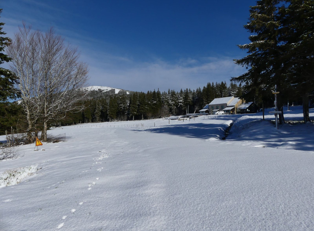 P1100429.jpg