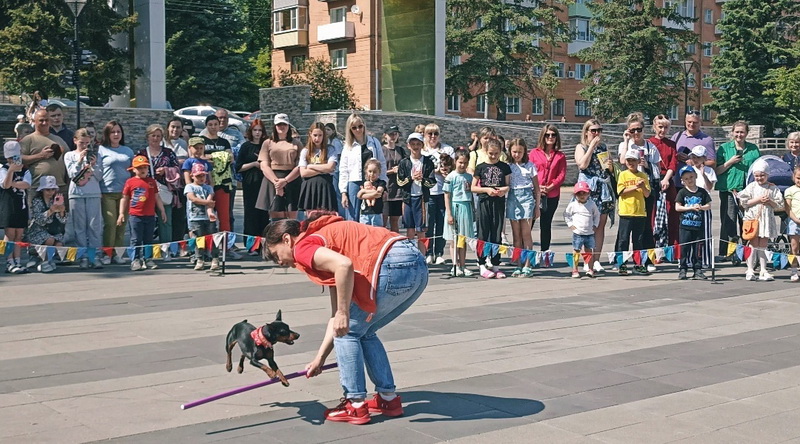 https://i.postimg.cc/rm4P5FqC/9n-C47jbug-R8.jpg