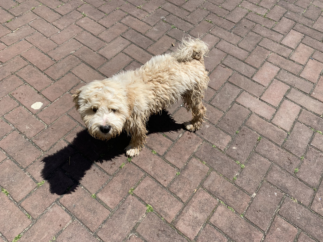 0FEBEF53-5A06-43C2-9EDE-66F97954DE1F