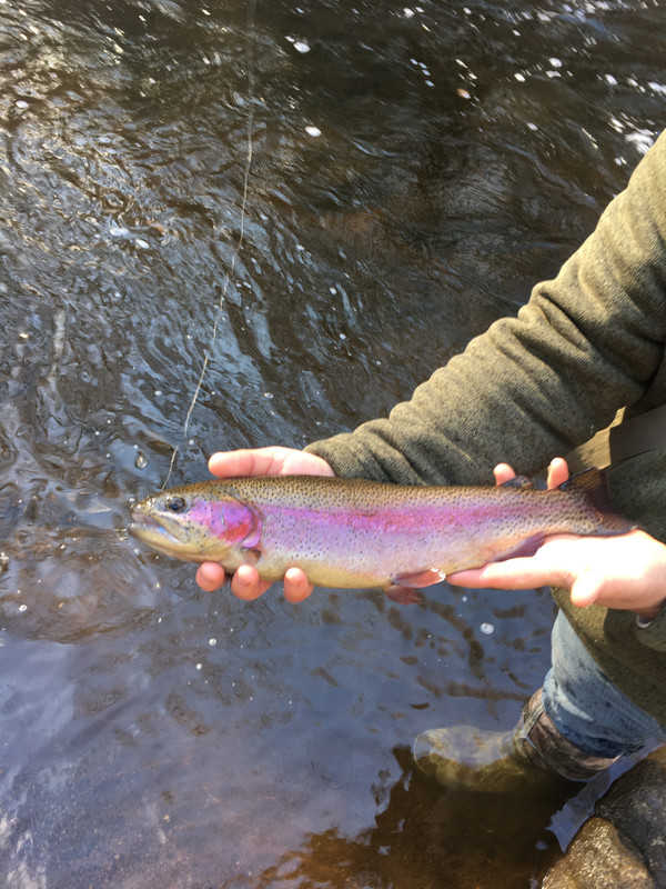 74F8D282-06E2-412B-A857-BA074A157E31