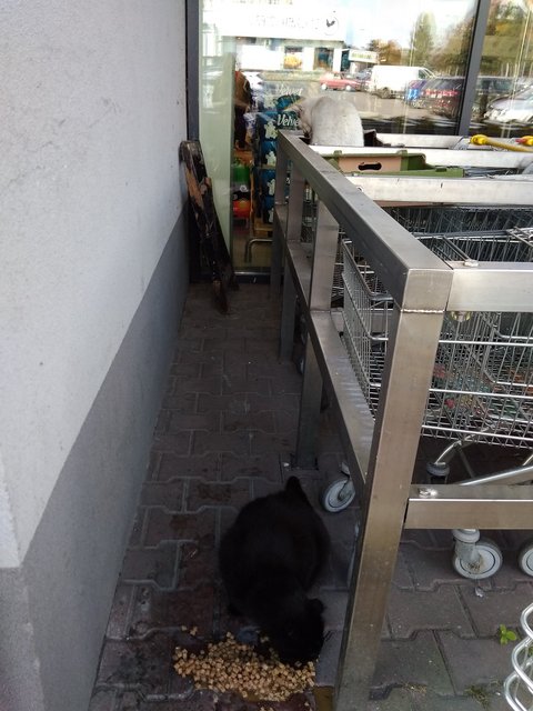 IMG-20200928-092700.jpg