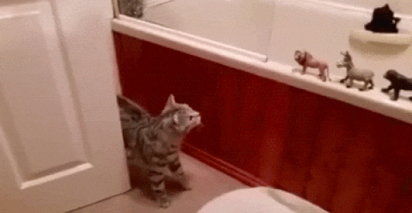 daily-gifdump-3420-12.gif