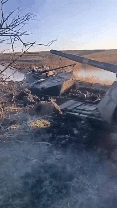 https://i.postimg.cc/rm5WFvS0/video-2026-07-26-03-16-34-(1)-(1).gif