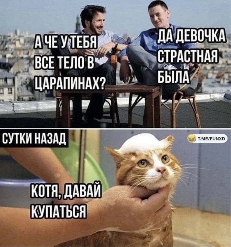 [Изображение: photo-2025-10-13-12-15-32.jpg]