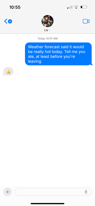Screenshot of messages between Ophelia and Ashara. Ashara: Weather forecast said it would be really hot. Tell me you ate, at least before leaving. Ophelia: Thumbs up.