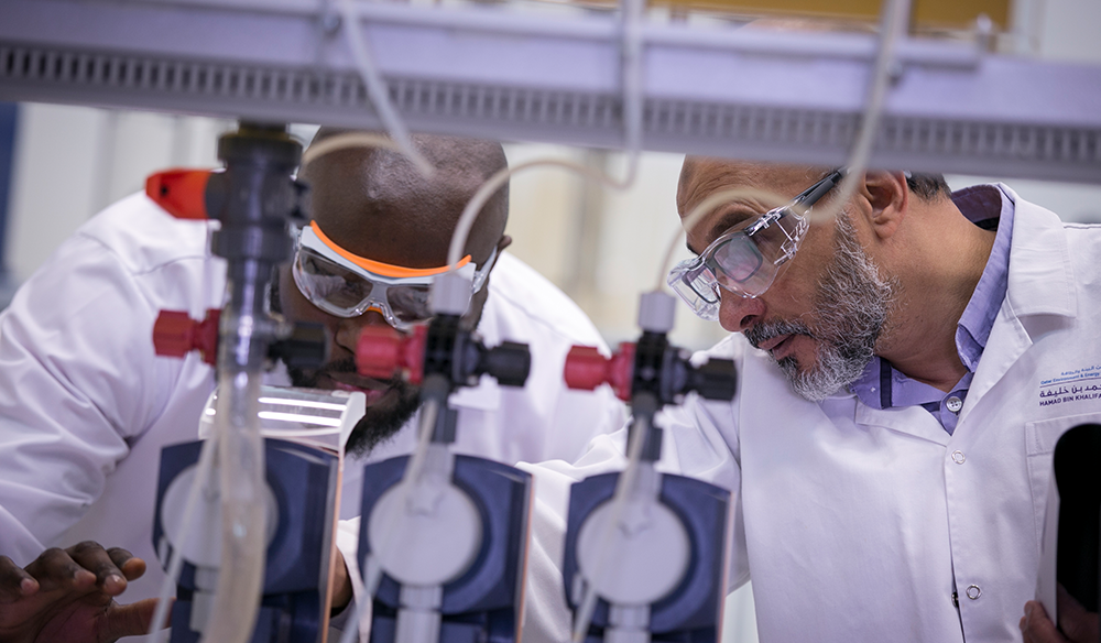 Qatar Environment and Energy Research Institute