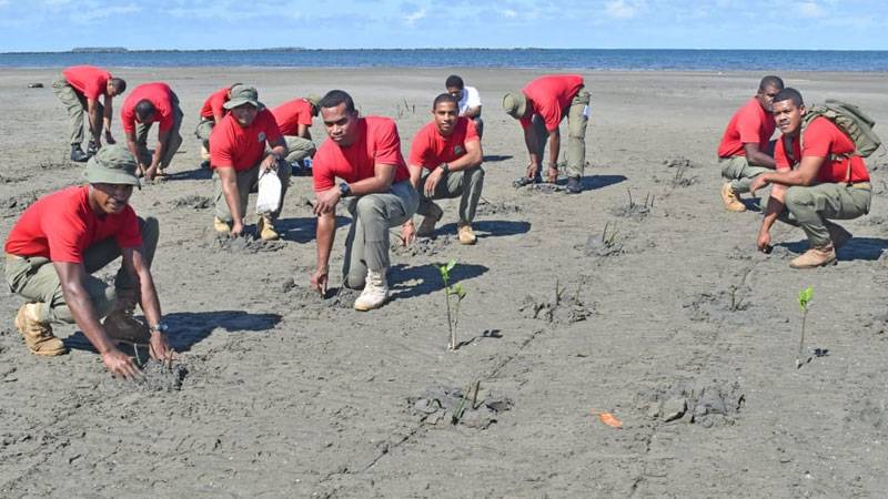 planting-sm