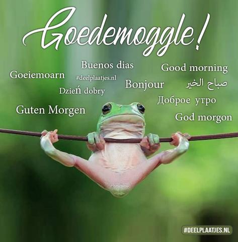 deelplaatjes-nl-goedemoggle-469748.jpg