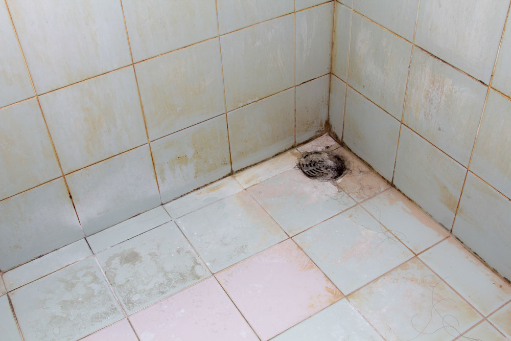 What does mold under tiles look like