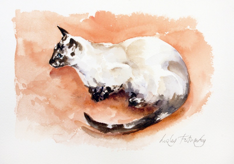 SIAMESE-ON-A-PINK-CARPET-1-LF186-1