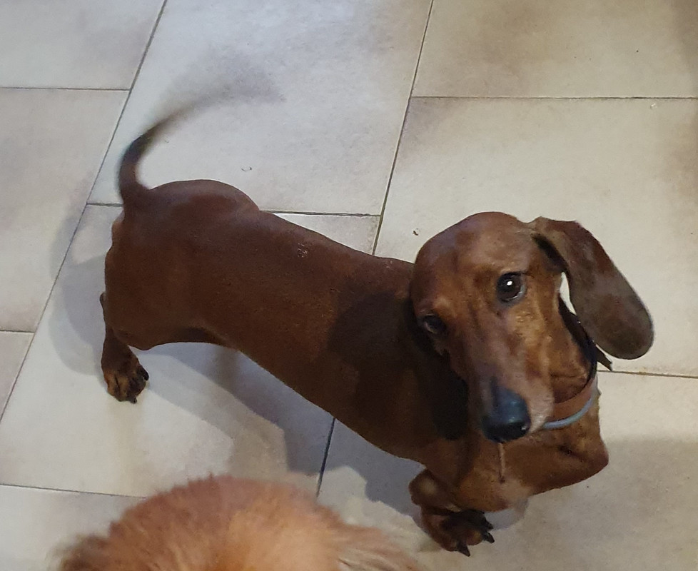 [Image: 20210112-132631.jpg]