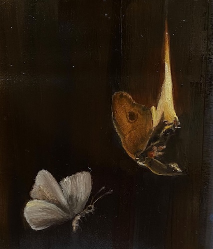 Papillons de lumière, sous les projecteur Papillons de lumière, sous les projecteur