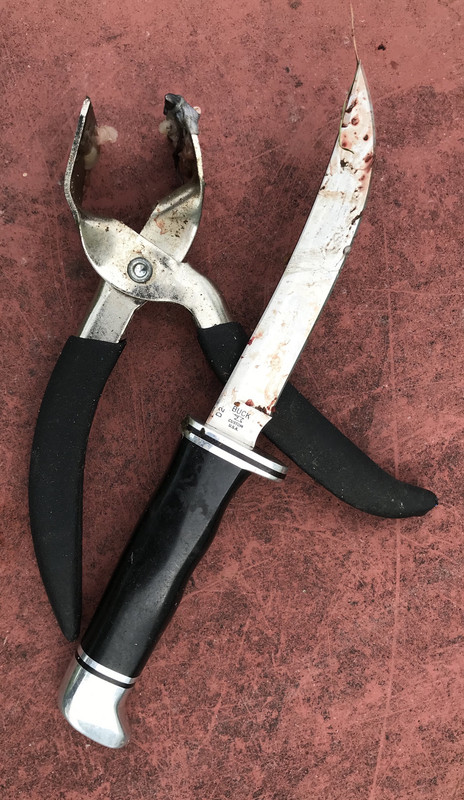 DF9749D2-5494-4426-8367-28C62B721C01