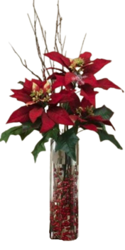 oie-transparent-3
