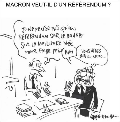 text alternatif