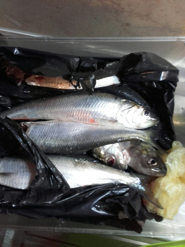 viber_изображение_2019-05-24_21-40-55