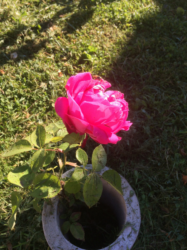 B44E17B2-3263-4BD8-8734-7424D04364E8