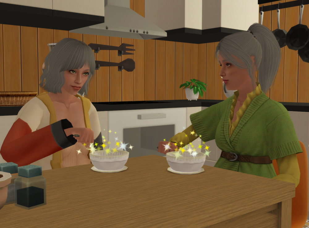 Sims2-EP9-RPC-2022-05-13-16-17-58-21