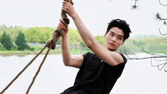 1.gif