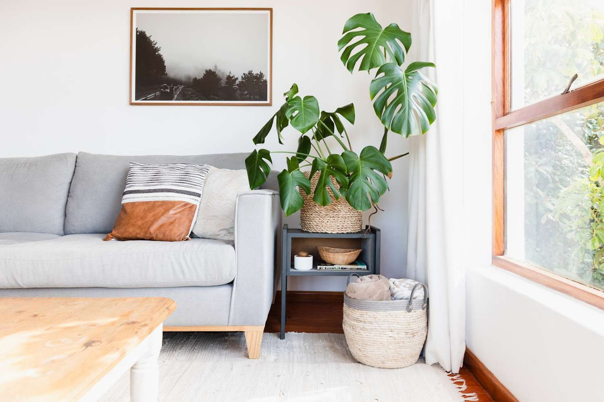 Living Room Organization