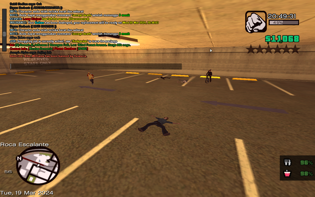 samp-19-03-2024-20-49-21.png