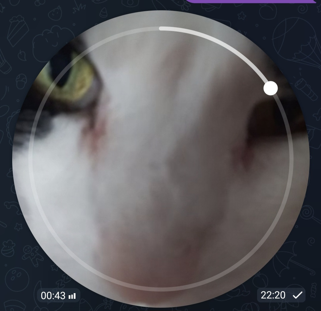 Screenshot 20260211 222252 Telegram