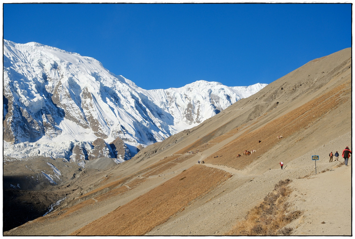 AC día 9: Tilicho BC (4160 m) a Shree Kharka (4067 m) via Tilicho Lake (5005 m) - Trekking en Nepal: Annapurna Circuit y Mardi Himal (3)