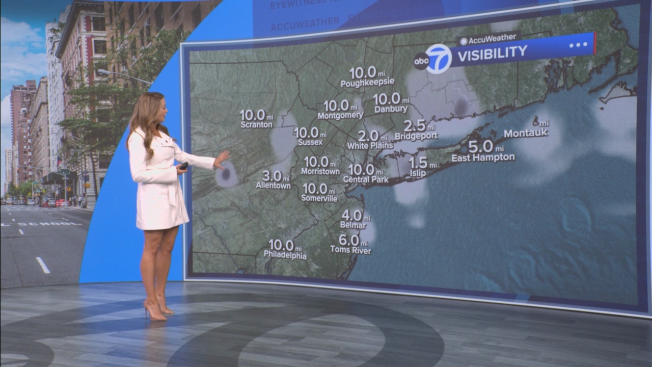 Eyewitness News Mornings at 10_20250529_15001600.ts_snapshot_00.50.01.276