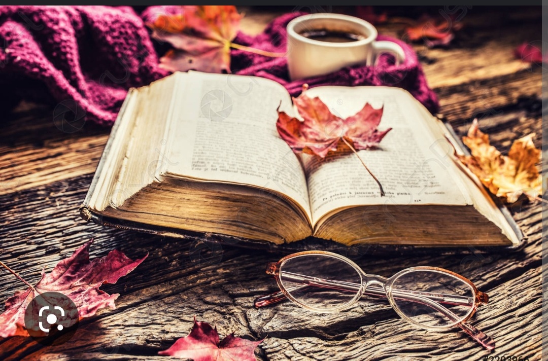 Screenshot_20221126-004330_Chrome