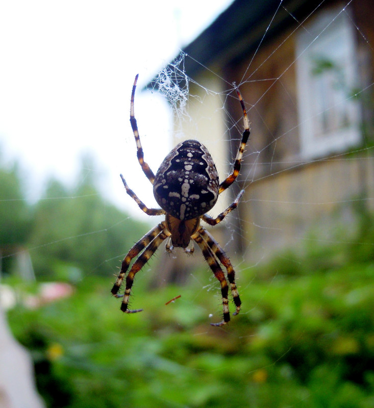 DSCN3967.jpg