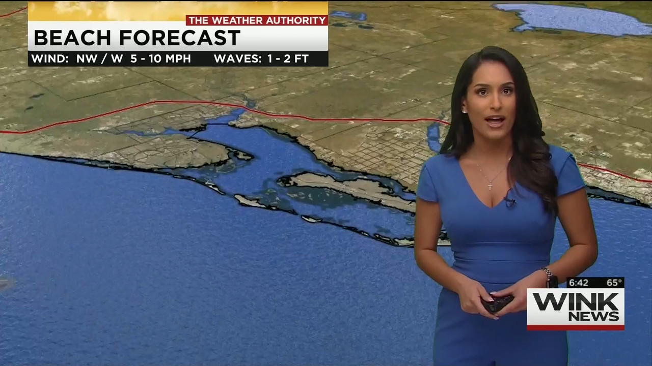 11.28 - 11.00.00 - WINK News This Morning..ts_snapshot_43.20.846