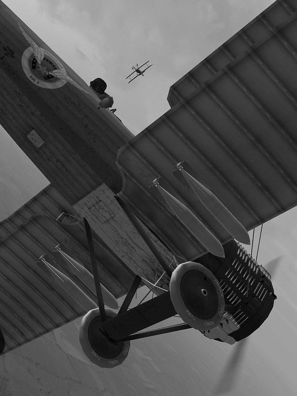 06.12.2018 21-29-41BW