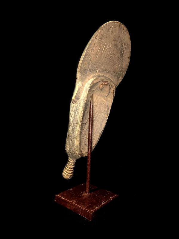 large image 10