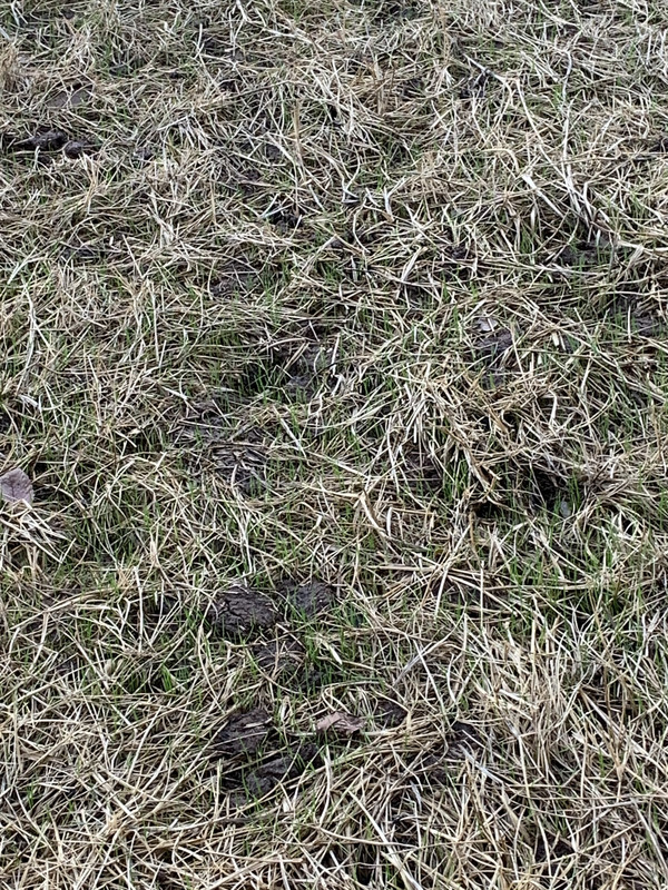 ABE34133-4A59-4A67-AC5B-3FF800A2DCF6