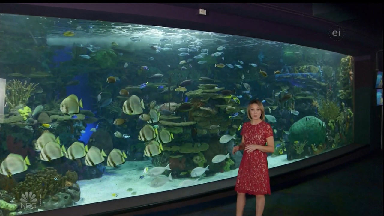 11.07 - 15.00.00 - Earth Odyssey With Dylan Dreyer. The world's smart....ts_snapshot_01.05.07.585