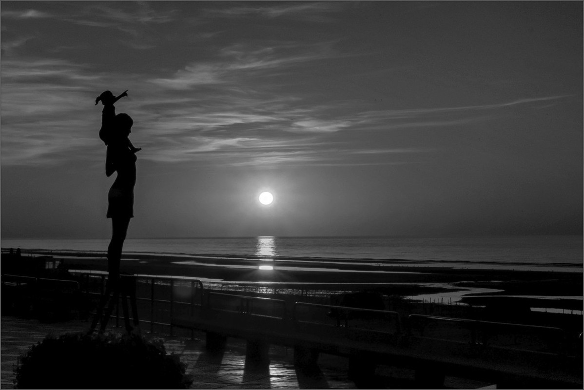 0XT24368 2018 De Haan LR ERWZ FB LRERWZ SW