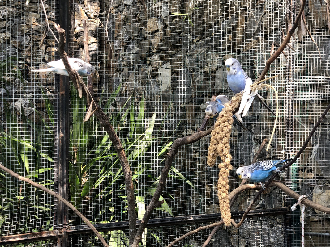 A82F6F64-7844-4D64-BCCD-1B45279975D4