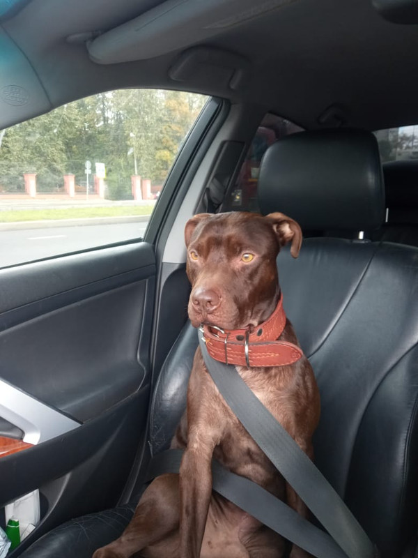 AF26D54E-0DC1-4CF6-8D0E-13466C3D667E