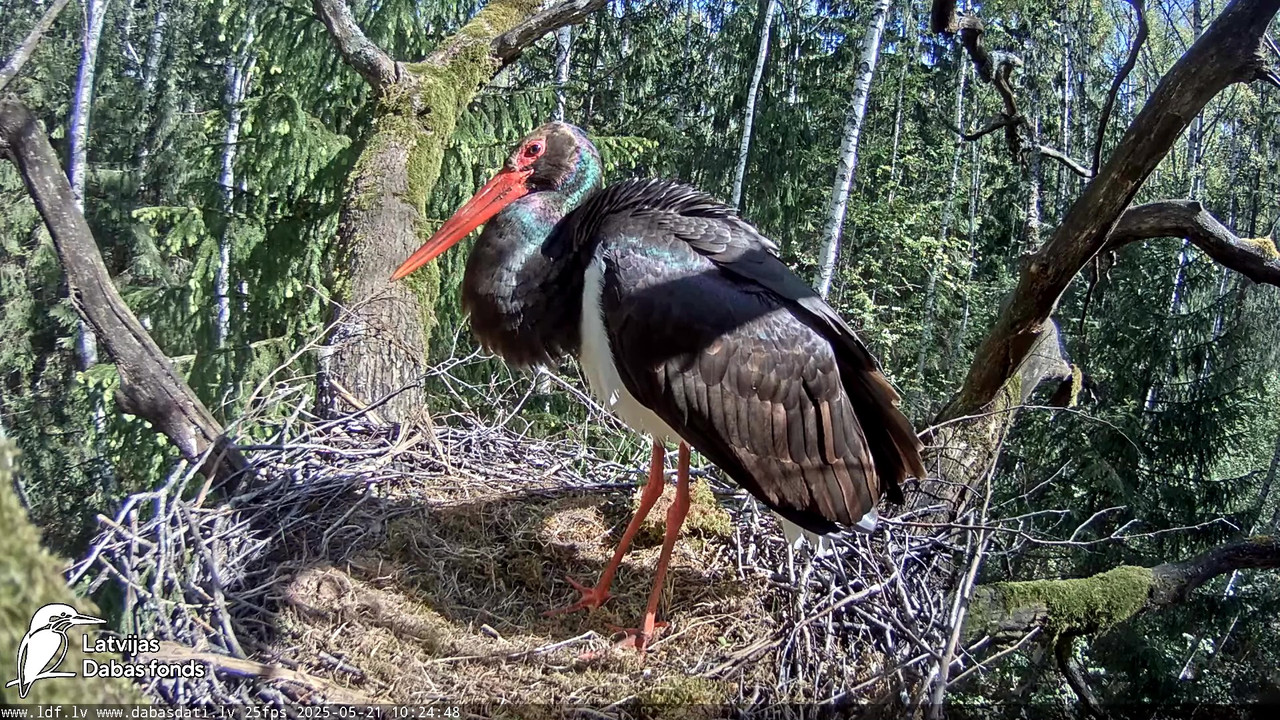 vlcsnap-2025-05-22-08h14m22s627