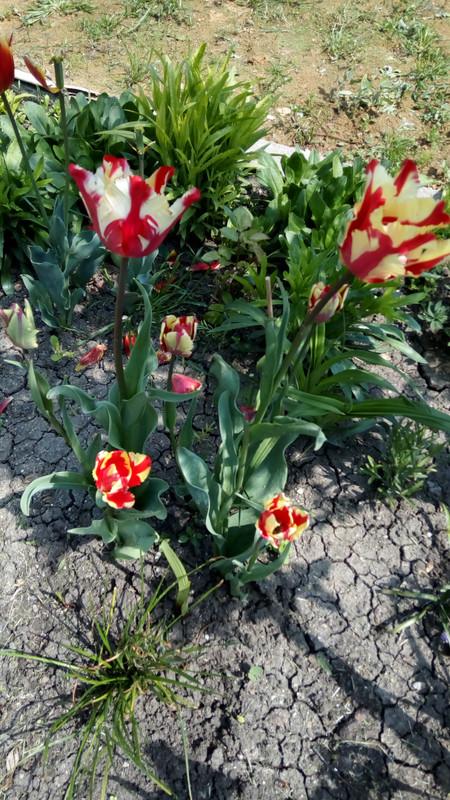 IMG_20190421_145758