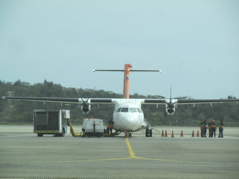 IMG-8696.jpg