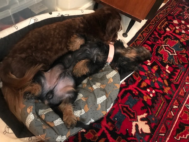 [Image: IMG-3312.jpg]