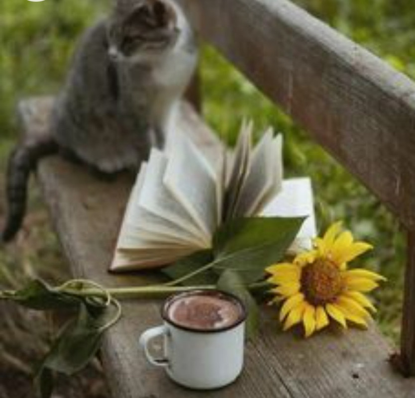 Screenshot_20230129_231501_Chrome