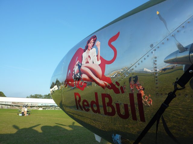 P1090594.jpg