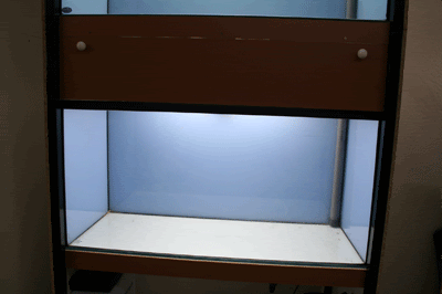 IMG_3667-400.gif