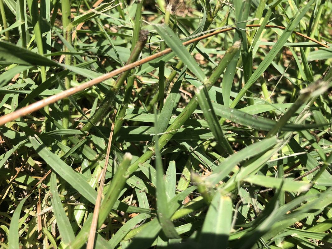 F19A1382-A04C-4553-93EF-C8DAFEF8253A