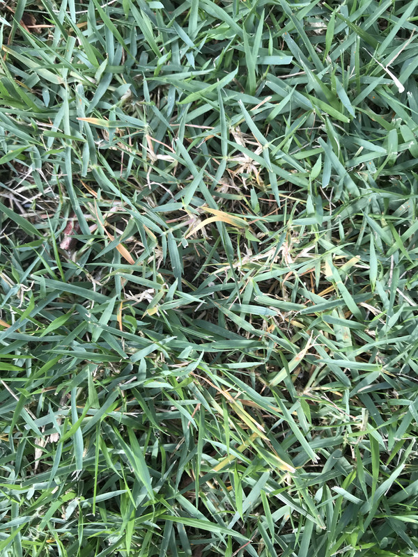 3E14F714-D6CE-47AF-8EAD-5CD8D05B308E